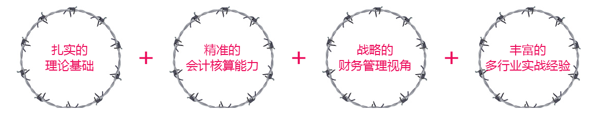 扎实的 理论基础 精准的 会计核算能力 战略的 财务管理视角 丰富的 多行业实战经验 扎实的 理论基础 精准的 会计核算能力 战略的 财务管理视角 丰富的 多行业实战经验