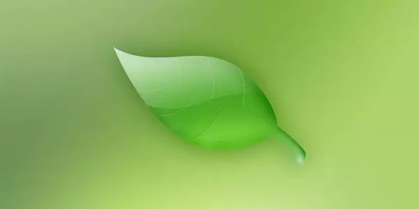 大连学平面设计 大连学平面设计